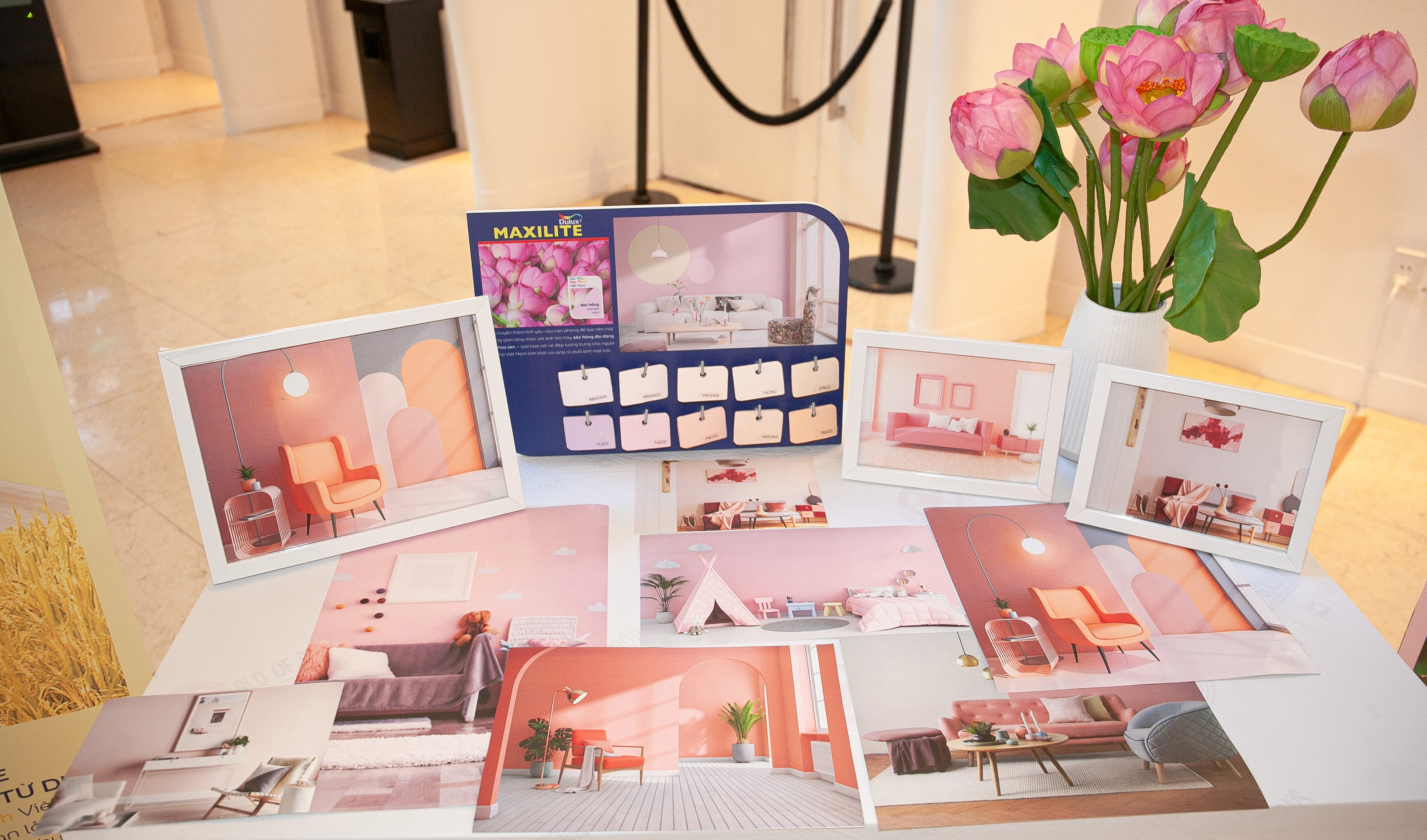 MAXILITE COMMUNICATIONS CAMPAIGN